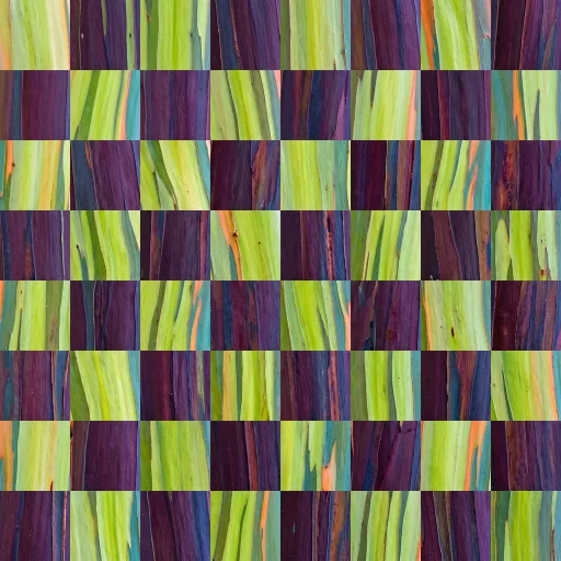 Chessboard 363 — Patzer.