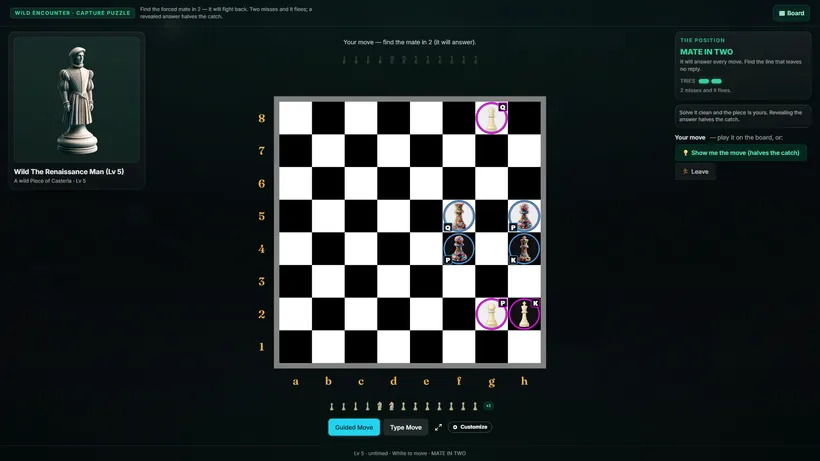 A wild encounter capture puzzle, captured from the game